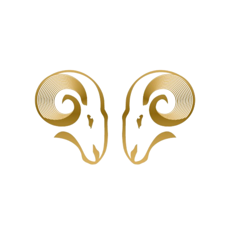 L'Expression - restaurant BEAUNE - Escargots Beaune